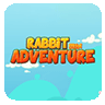 Rabbit Run